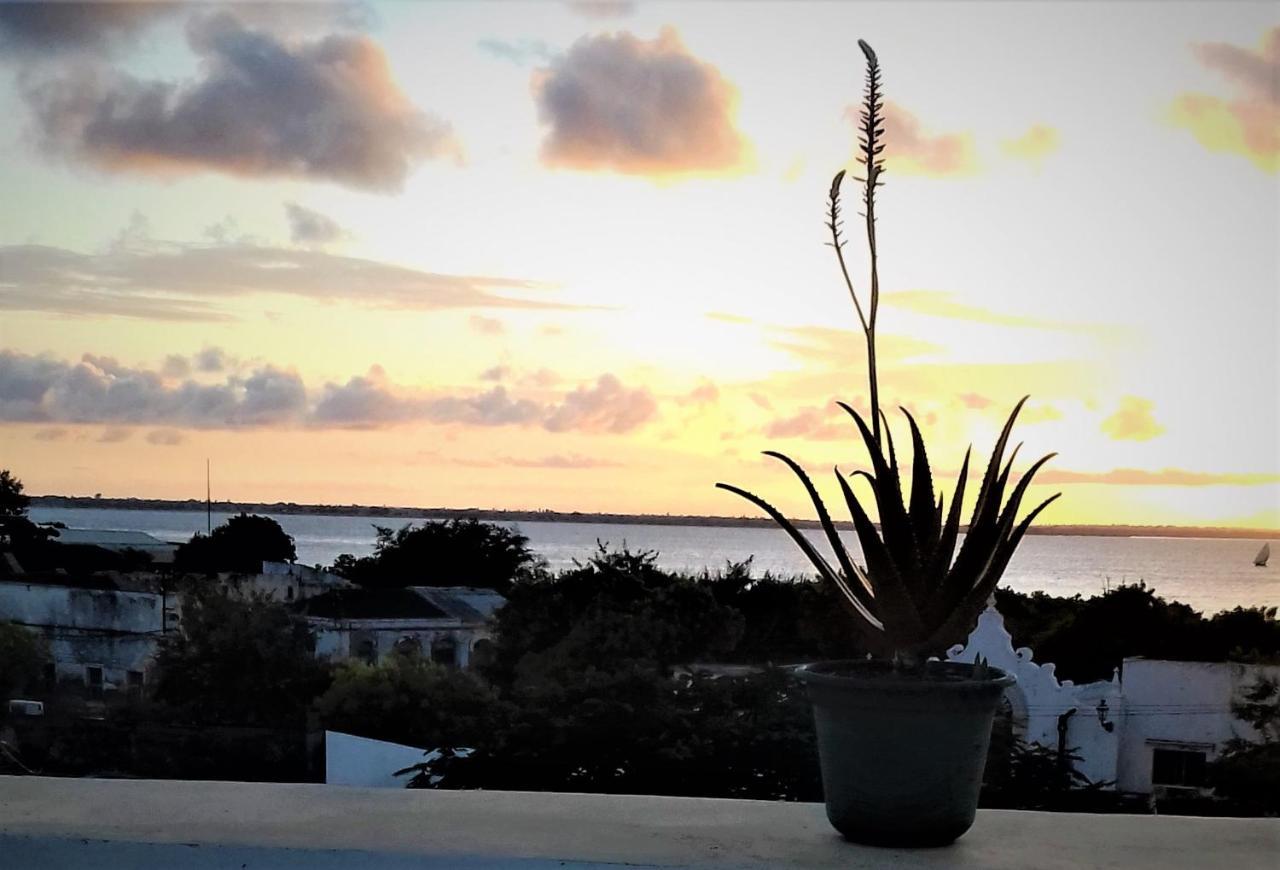 Jardim dos Aloés, Unique B&B - Casa de Charme Isola di Mozambico Esterno foto