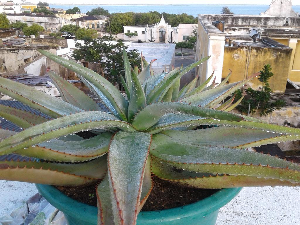 Jardim dos Aloés, Unique B&B - Casa de Charme Isola di Mozambico Esterno foto